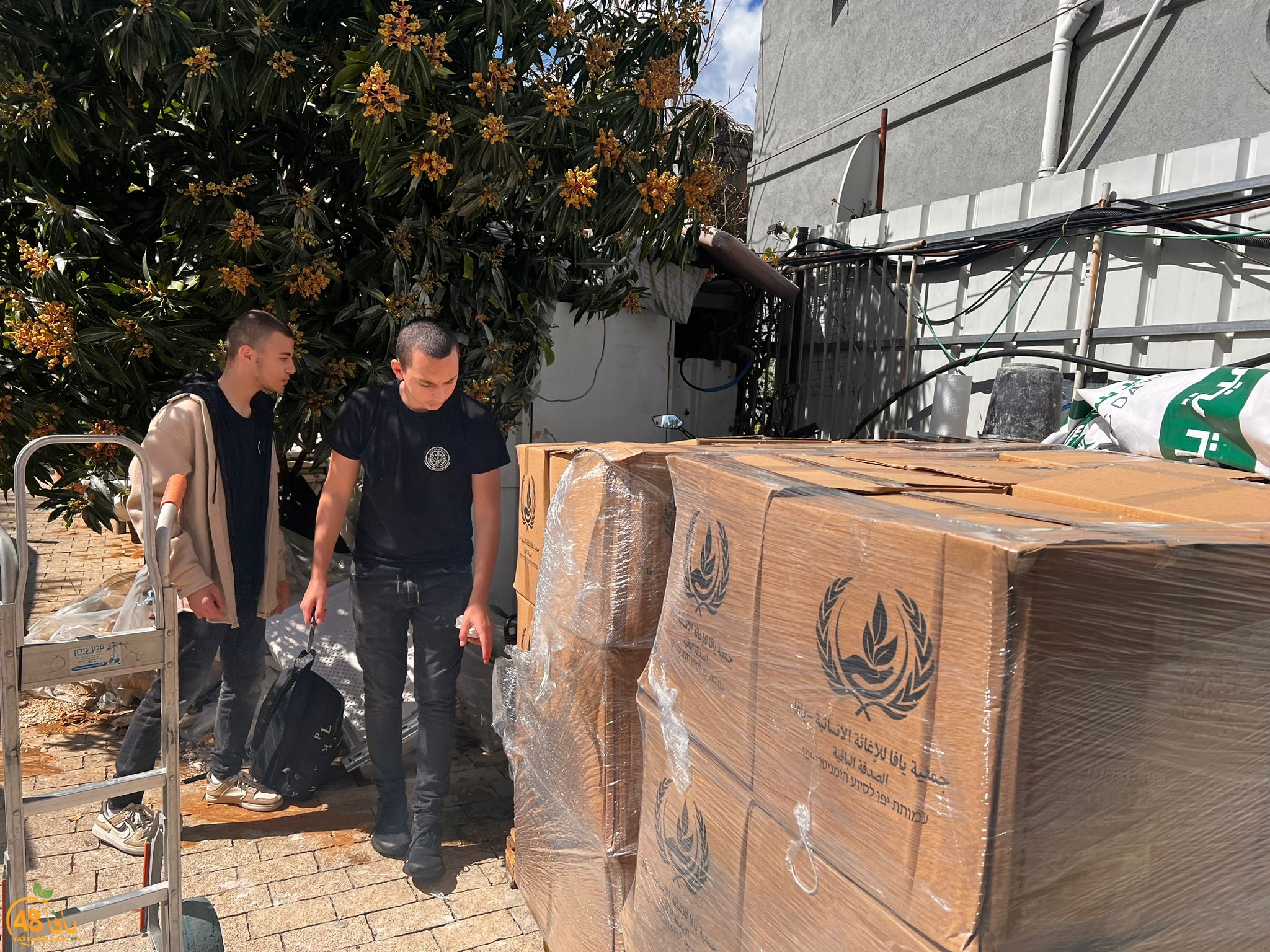 WhatsApp Image 2024-03-11 at 12.21.53 PM.jpeg